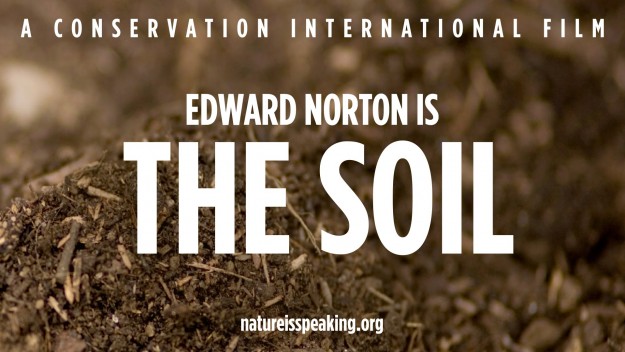 Edward Norton Soil Edward Norton Soil