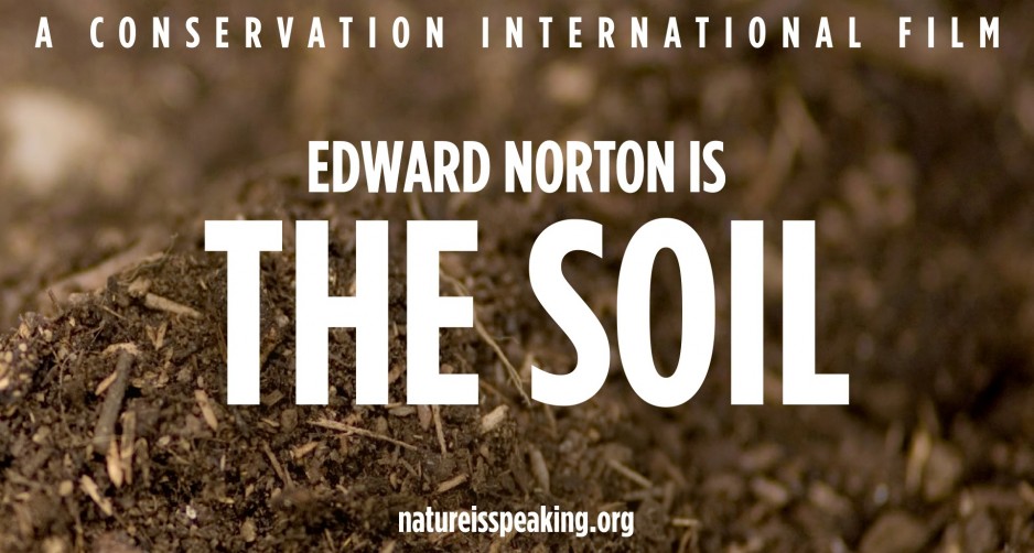 Edward Norton Soil