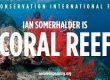 Ian Somerhalder Coral Reef