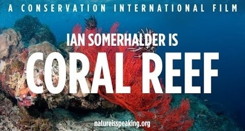 Ian Somerhalder Coral Reef