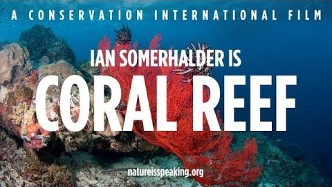 Ian Somerhalder Coral Reef Ian Somerhalder Coral Reef