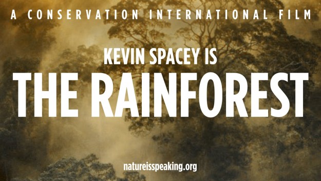 Kevin Spacey The Rainforest Kevin Spacey Rainforest