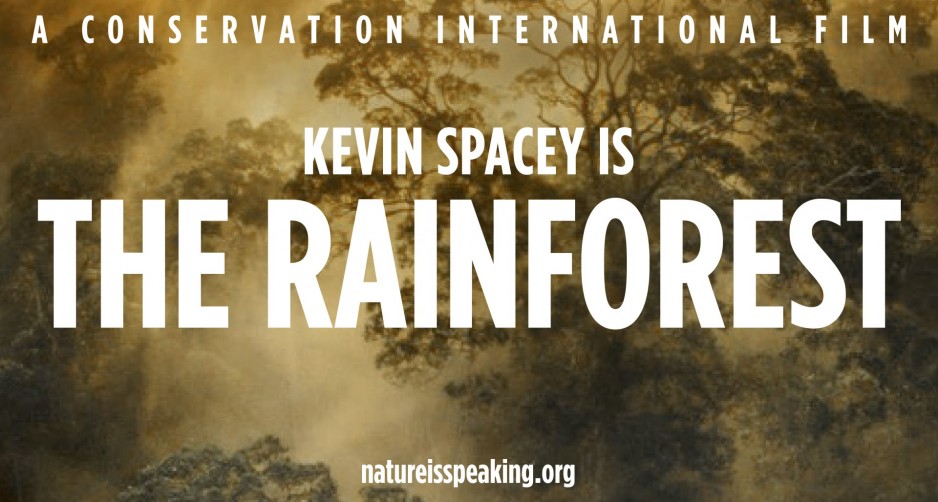 Kevin Spacey Rainforest