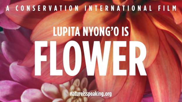 Lupita Nyongo Flower Lupita Nyongo Flower