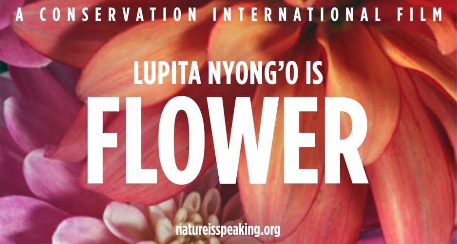 Lupita Nyongo Flower