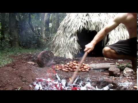 Making Australian Black Bean Edible