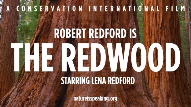 Robert Redford Redwood Robert Redford Redwood